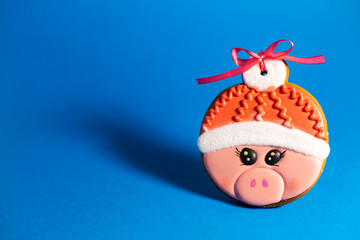 gingerbread cookie of cute pink pig on blue background. Traditional Christmas food. Christmas and New Year holiday concept. Copyspace