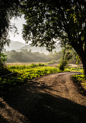 Obraz premium Gravel road with morning atmosphere