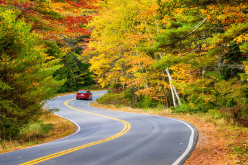 A red car driving through winding road with beautiful autumn foliage trees in New England.