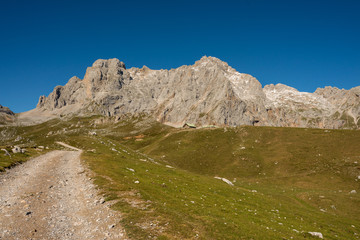 Meadow of the Picos de Europa overlooking the mountain