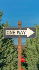 Fototapeta premium Vertical Close up of a One Way road sign against tree leaves and blue sky on a sunny day