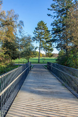 wooden bridge in park
