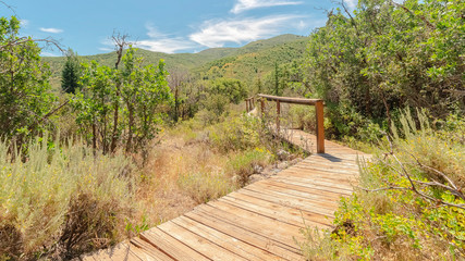 Fototapeta na wymiar Panorama frame Wooden walkway with handrails in the forest with view of mountain and blue sky