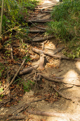 natural stairs