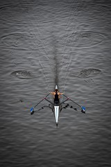 Solo Rower on the River