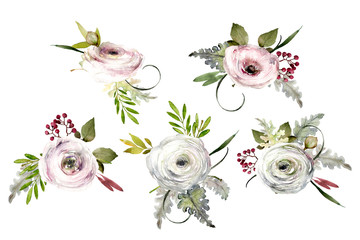 pink watercolor ranunculus flowers - 299214950