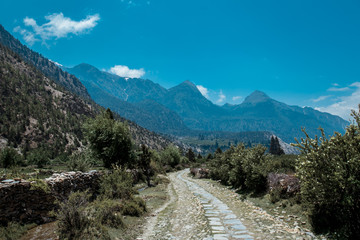 My solo trip by bike 2019. Indian Himalayas