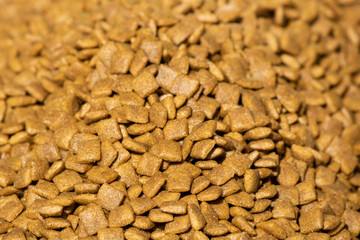 Pets masmas close-up. It was taken in front of the store.