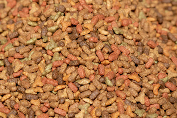 Pets masmas close-up. It was taken in front of the store.
