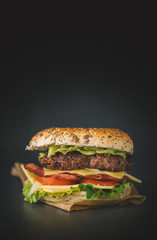 Sandwich Burger on dark background