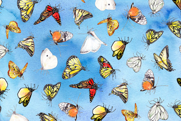 butterflies on blue watercolor