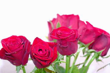 red rose flower bouquet