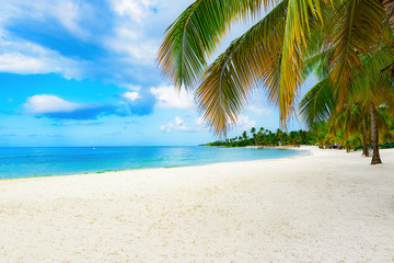 Plakat paradise tropical beach
