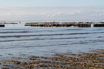 Charente-Maritime - Pécheurs de crevettes près de sparcs à huitres