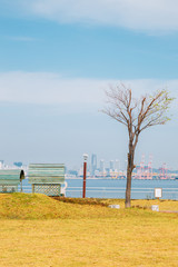 Fototapeta premium Sihwa Narae Tidal Power Park & Service area, Seaside park in Ansan, Korea