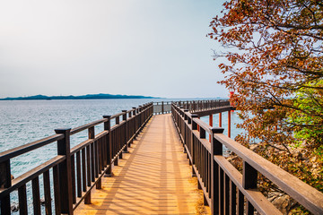 Obraz premium Daebu Haesolgil Gubongdo island, Seaside wooden deck road at autumn in Ansan, Korea