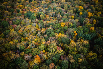 Aerial of Sunset with Fall Foliage