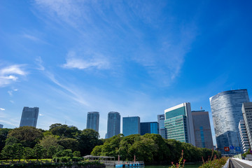 Fototapeta premium 東京汐留の高層ビル群の風景