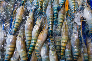 Live prawns surrounded by some ice in a seafood market.