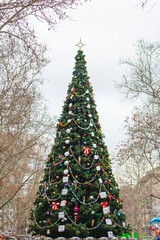 large Christmas tree decorated in center of city