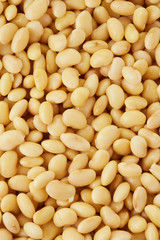 Soybeans full perfect