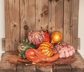 Thanksgiving Day decoration with colorful pumpkins. Hand painted pumpkins. Rustic decoration.