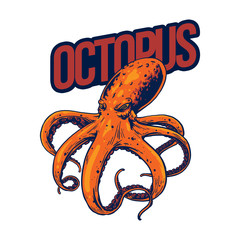octopus isolated for T-shirt design