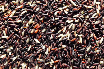 close up of mix rice grain as background.