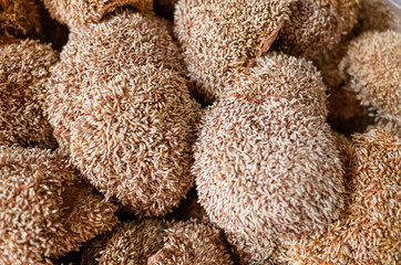 group of dried aiyu seeds