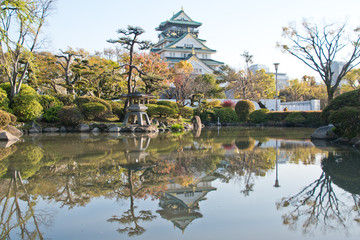 Fototapeta na wymiar Cherry blossoms at Osaka castle in Japan