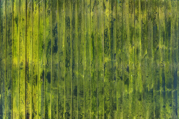 Mossy wooden background for design