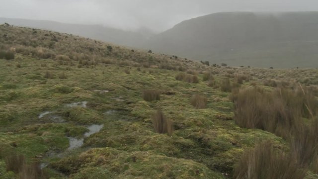 Cordillera de los andes.