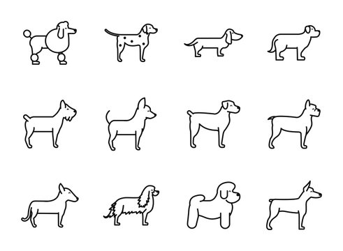 2 976 BEST Doggy Style Position IMAGES STOCK PHOTOS VECTORS Adobe