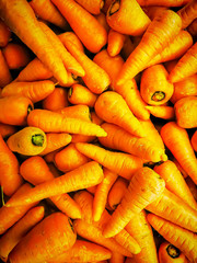 Organic carrots for sale. Fresh organic carrots at the farmers market.