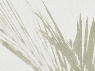 White wall texture background and pattern texture shiny black backdrop