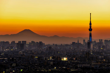 Fuji mountain and Tokyo Skytree at Sunset, Tokyo, Japan