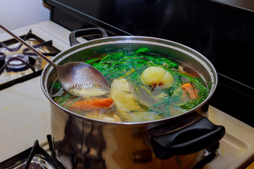 Preparing homemade chicken soup with vegetables in metal pan
