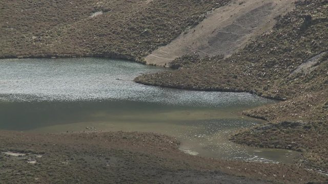 Orilla de lago en la cordillera andina.