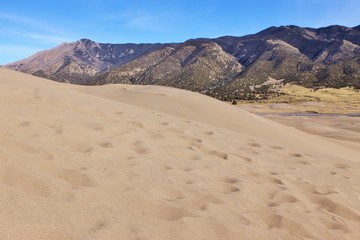 Fototapeta na wymiar Dunes in the Desert