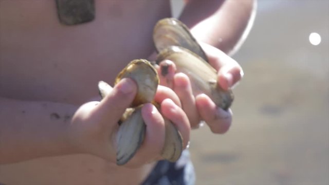 A Child holding seafood (Pipis or Shellfish) by the beach.