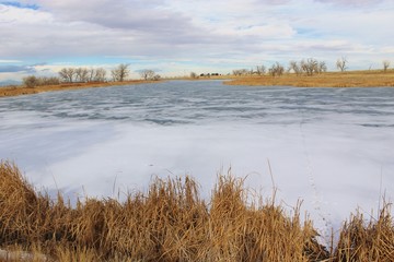 frozen lake in winter