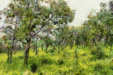 Forest landscape Illustrations creates an impressionist style of painting.