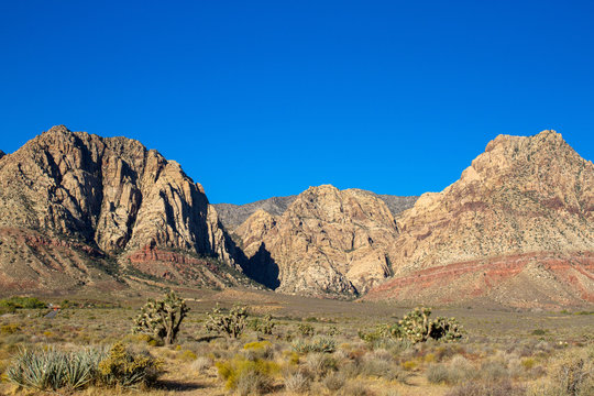 Rugged mountains and Joshua Trees in Nevada's Mojave Desert