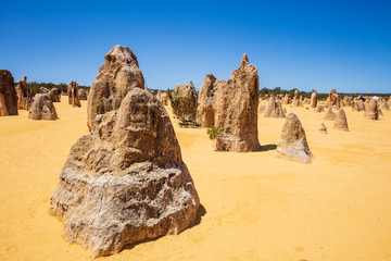 Fototapeta na wymiar Limestone pinnacles at the Nambung National Park in Western Australia, Australia.