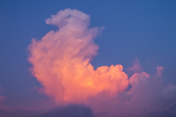 Fototapeta na wymiar Cloud in the sky warm tone concept.Selective focus light and cloud.
