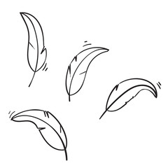 doodle feather wing illustration with handdrawn doodle style © Gwens graphic studio