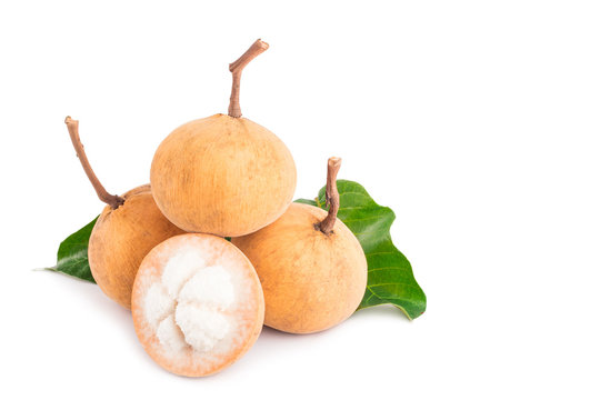 ripe santol or sentul fruit is seasonal fruit of Thailand on white background planting agriculture food isolated