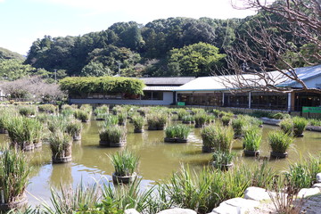 大宰府天満宮