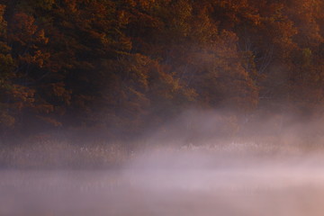 紅葉の御在所沼