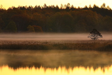 紅葉の御在所沼